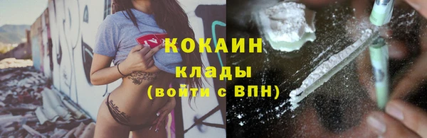 прущие грибы Нягань