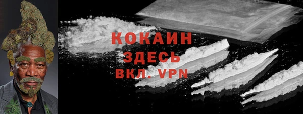 прущие грибы Нягань