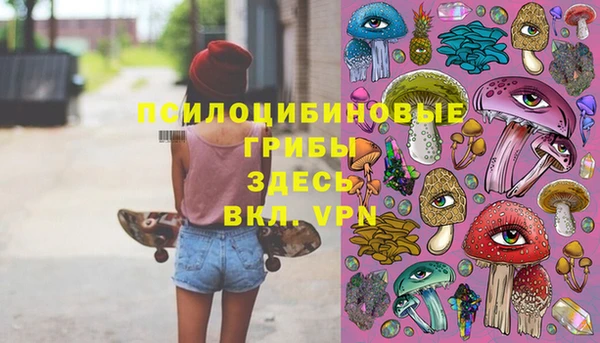экстази Няндома