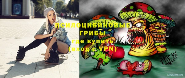 экстази Няндома