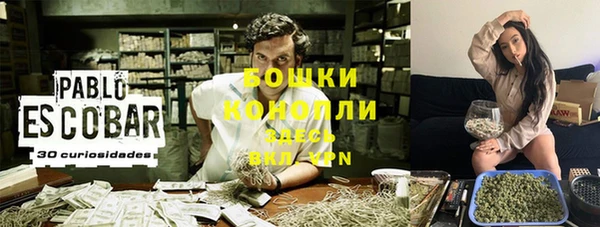 прущие грибы Нягань
