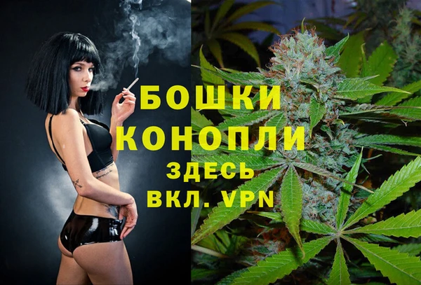 прущие грибы Нягань