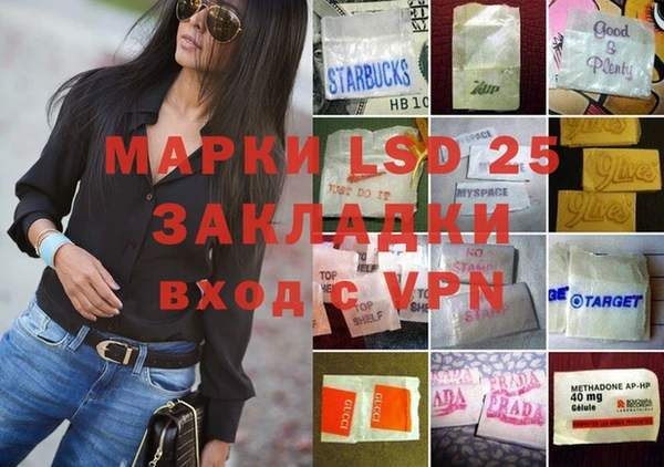 прущие грибы Нягань