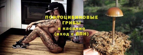 экстази Няндома