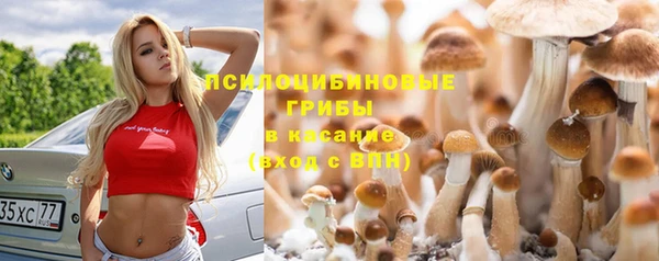прущие грибы Нягань